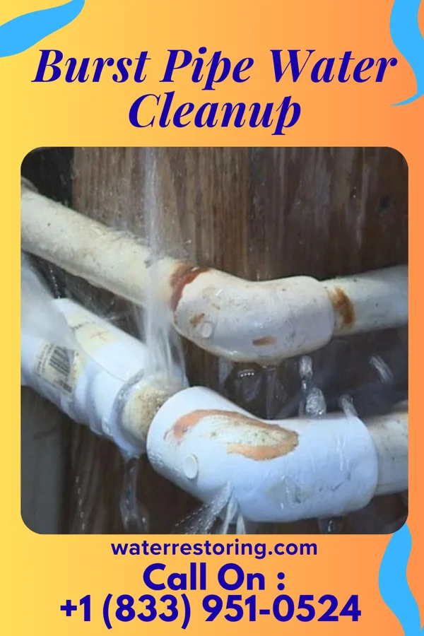 Burst Pipe Water Cleanup in Belvedere Park, GA