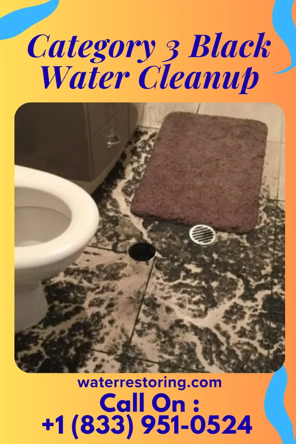Category 3 Black Water Cleanup in Belvedere Park, GA